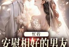 《忙着安慰相好的男友,不知我要结婚》小说章节在线试读,《忙着安慰相好的男友,不知我要结婚》最新章节目录-红梅文学