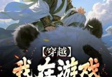 穿越:我在游戏里面当反派小说有没有完结版在线?-红梅文学
