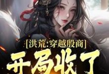 求洪荒:穿越殷商,开局收了妲己小说的全文免费阅读链接-红梅文学