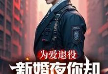 为爱退役,新婚夜你却奔向白月光这本小说在哪里可以看?哪里有免费试读章节?-红梅文学