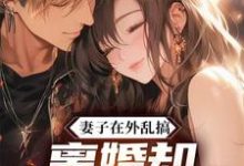 庄毅完整版小说《妻子在外乱搞，离婚却后悔到崩溃》免费阅读-红梅文学