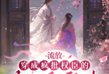 姜念小说完整版《流放:穿成疯批权臣的轻浮寡嫂》免费阅读-红梅文学