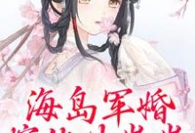 海岛军婚:嫁他生崽崽沈竹一霍锦之小说大结局免费试读-红梅文学