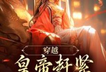 穿越：皇帝赶紧给我打江山如意康熙小说免费阅读-红梅文学