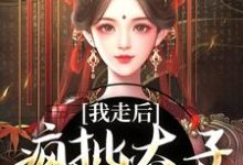 沈南枝萧迟小说《我走后,疯批太子彻底癫了》在线阅读-红梅文学