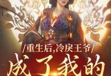重生后,冷戾王爷成了我的小奶狗(云想司空琰)在线免费阅读-红梅文学