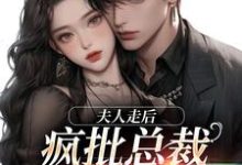 无删减版《夫人走后,疯批总裁寻遍全世界》免费阅读-红梅文学