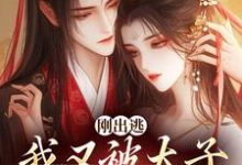 《刚出逃,我又被太子绑回来了》全集免费在线阅读(虞晚柔萧衡)-红梅文学