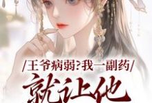 王爷病弱?我一副药就让他生龙活虎苏玖檀青渊在线免费阅读-红梅文学
