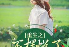 小说《重生之不摆烂了,我要当权臣》在线阅读-红梅文学