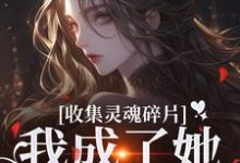 无删减版《收集灵魂碎片,我成了她的心尖宠》章节目录在线阅读-红梅文学