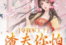 夺我军工?渣夫你怕是没命享(凌朝歌南宫阎)在线免费阅读-红梅文学