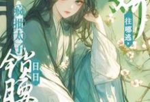 容桓晚寻楠小说《被太子强制爱了怎么办》在线阅读-红梅文学