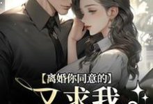 男女主人公周晏辰沈青漓小说离婚你同意的,又求我复婚干什么免费阅读-红梅文学