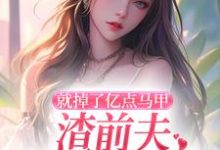无删减版《就掉了亿点马甲,渣前夫哭着求复婚》免费阅读-红梅文学