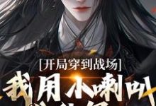 主人公叫王延臣陈圆圆的小说哪里免费看-红梅文学