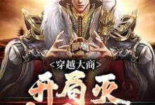 无删减版《穿越大商，开局灭十万叛军》全章节阅读-红梅文学