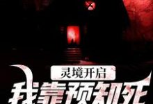 陈冥小说《灵境开启,我靠预知死亡技能无敌》在线阅读-红梅文学