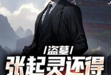 小说《盗墓：张起灵还得靠我守护？》免费阅读-红梅文学