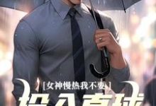 女神慢热我不要,投入直球女怀抱丁歌王诗雪小说大结局免费试读-红梅文学