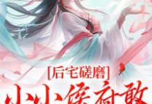 无删减版《后宅磋磨,小小侯府敢欺负本郡主?》全章节阅读-红梅文学