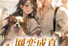 网恋成真,这小子乐癫了苏念初司徒铮小说免费阅读-红梅文学