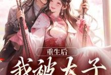 小说《重生后,我被太子缠上了》免费阅读-红梅文学
