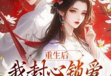 重生后,我封心锁爱,皇帝请离开萧煜苏婉宁,重生后,我封心锁爱,皇帝请离开最新章节-红梅文学