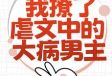 为了活命,我撩了虐文中的大病男主免费阅读,为了活命,我撩了虐文中的大病男主章节目录-红梅文学