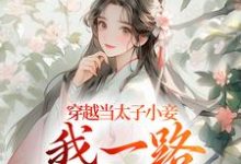 小说《穿越当太子小妾,我一路扶摇直上》在线阅读-红梅文学