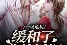 已完结小说《一场危机，缓和了我的婚姻》在线阅读-红梅文学