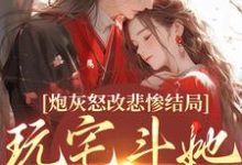 无删减版《炮灰怒改悲惨结局，玩宅斗她真无敌》全章节阅读-红梅文学