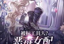 无删减版《被标工具人?恶毒女配甩男主求自由》在线阅读-红梅文学