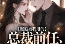无删减版《邂逅被我甩的总裁前任,他又爱了!》免费阅读-红梅文学