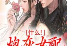 什么!炮灰女配碾压女主?小说,什么!炮灰女配碾压女主?在线阅读-红梅文学