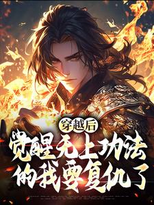 小说《穿越后，觉醒无上功法的我要复仇了》免费阅读