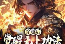 无删减版《穿越后，觉醒无上功法的我要复仇了》在线阅读-红梅文学