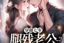 小说《穿越七零,腿残老公我来治!》在线阅读-红梅文学