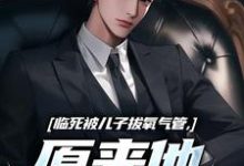 临死被儿子拔氧气管，原来他非亲生小说在线无弹窗免费阅读-红梅文学