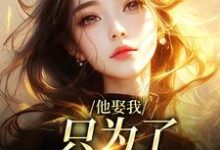 他娶我，只为了替她脱罪？霍时洲简司宁小说免费阅读-红梅文学