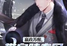 小说《嬴政苏醒，带皇陵秦军一统地球！》在线阅读-红梅文学