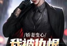 《娇妻变心，我被仇恨占据了全身》小说主角墨凉馨路无铭免费在线阅读-红梅文学