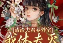 已完结小说《渣渣夫君养外室,我休夫灭妾另高嫁》在线阅读-红梅文学