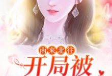 《南来北往:开局被汪新喂糖》小说精彩章节免费试读,姚玉玲汪新小说在线阅读-红梅文学