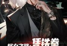 权力之路:凭铁拳,我令黑势力退避步青云雷蕾,权力之路:凭铁拳,我令黑势力退避在线阅读-红梅文学