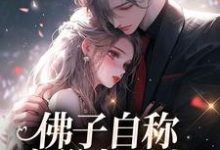 佛子自称空巢老男人?我真的笑了苏晚杳傅慎廷小说大结局免费试读-红梅文学