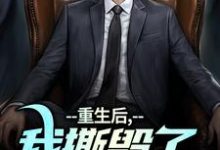 陆泽白糯小说《重生后，我撕毁了离婚协议书》在线阅读-红梅文学