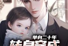 单身二十年,转身穿成八岁娃他爸艾辰,单身二十年,转身穿成八岁娃他爸小说免费阅读-红梅文学