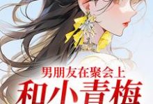 小说《男朋友在聚会上,和小青梅吻红温了》在线阅读-红梅文学