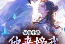 已完结小说《家道中落,他来接我当主母?》在线阅读-红梅文学
